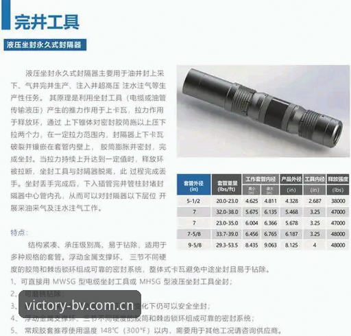 资深用户分享：bv宝威体育专业服务安装教程实战经验